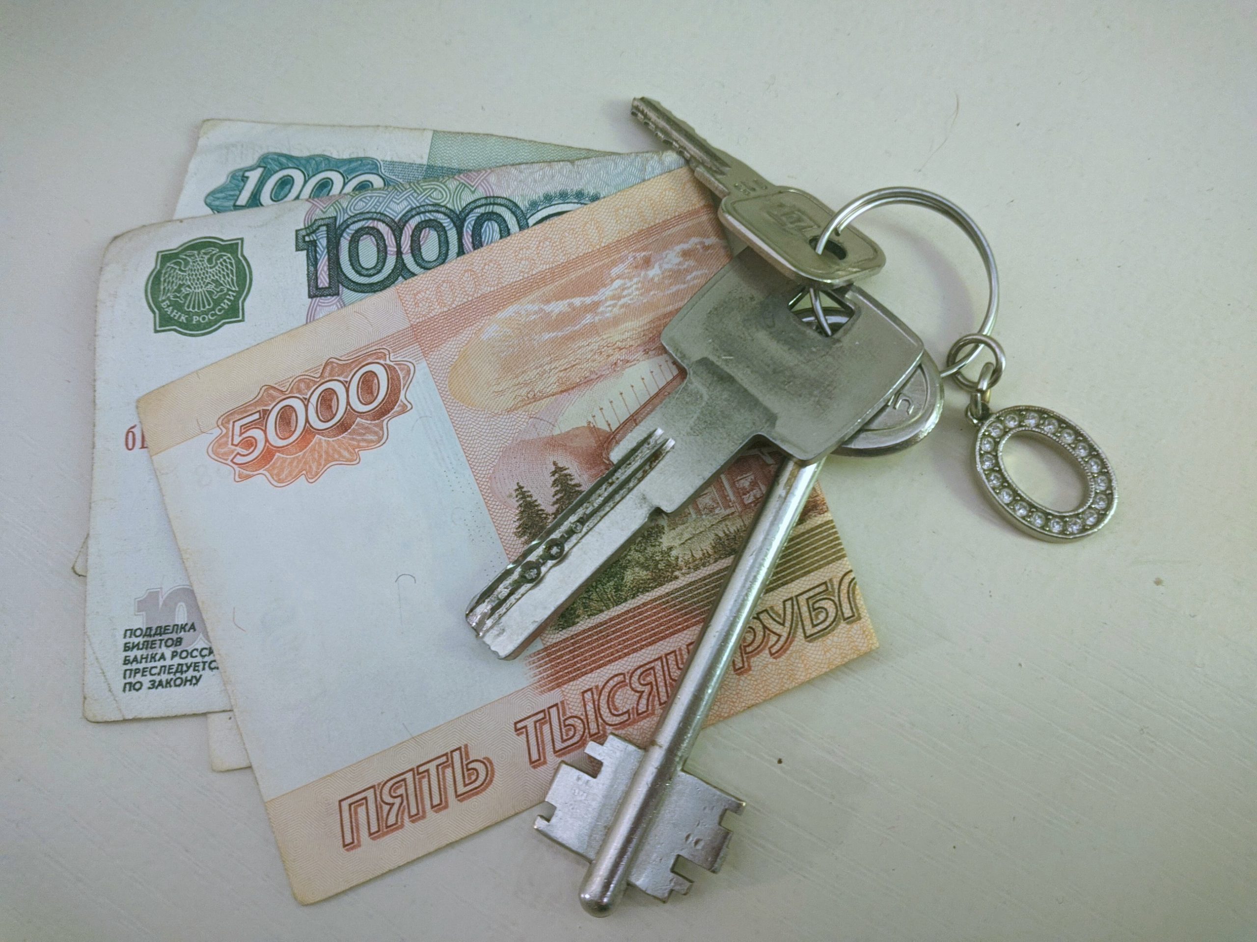 Центробанк России выступил против «беспроцентной» ипотеки