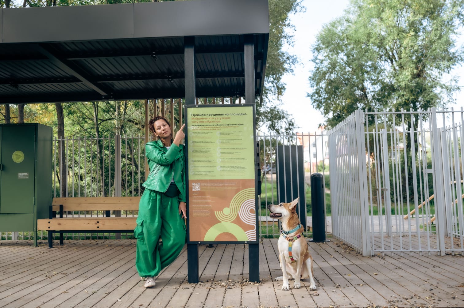 Город класса дог-френдли